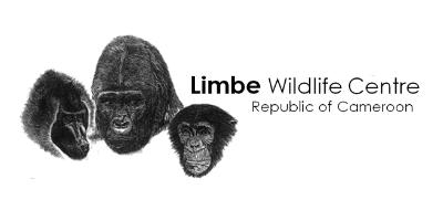 Homepage Limbe Wildlife Centre